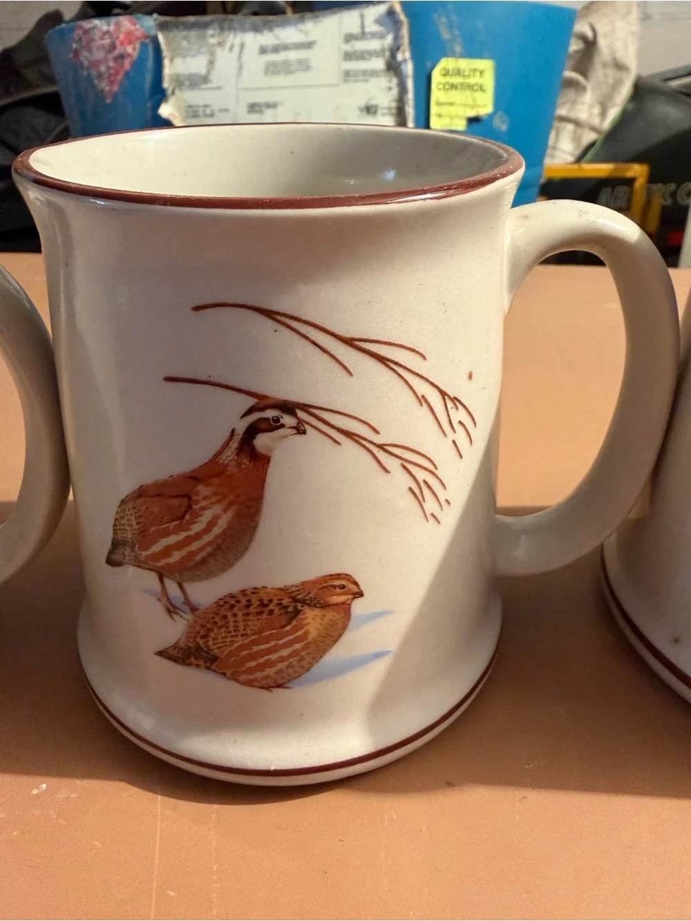 Ceramic Bird-Illustrated Coffee Mug - White with Brown Trim
